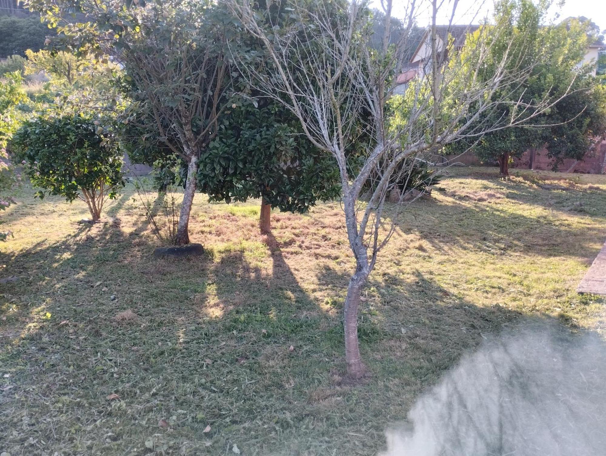 הוילה Tomiño Casa De Valeria מראה חיצוני תמונה